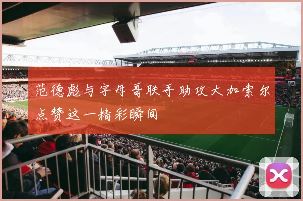 范德彪与字母哥联手助攻大加索尔点赞这一精彩瞬间