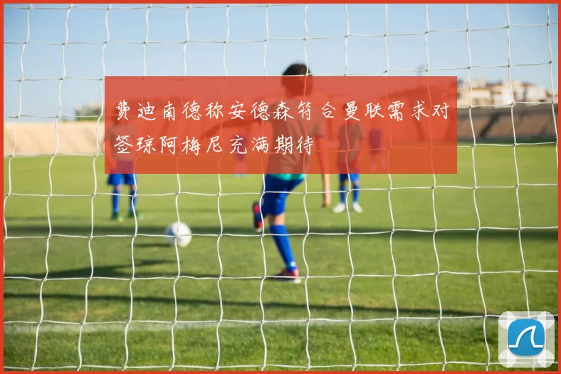 费迪南德称安德森符合曼联需求对签琼阿梅尼充满期待
