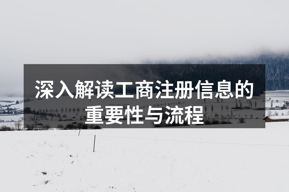 工商注册流程示意图