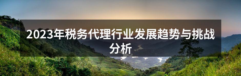 税务代理行业的快速发展