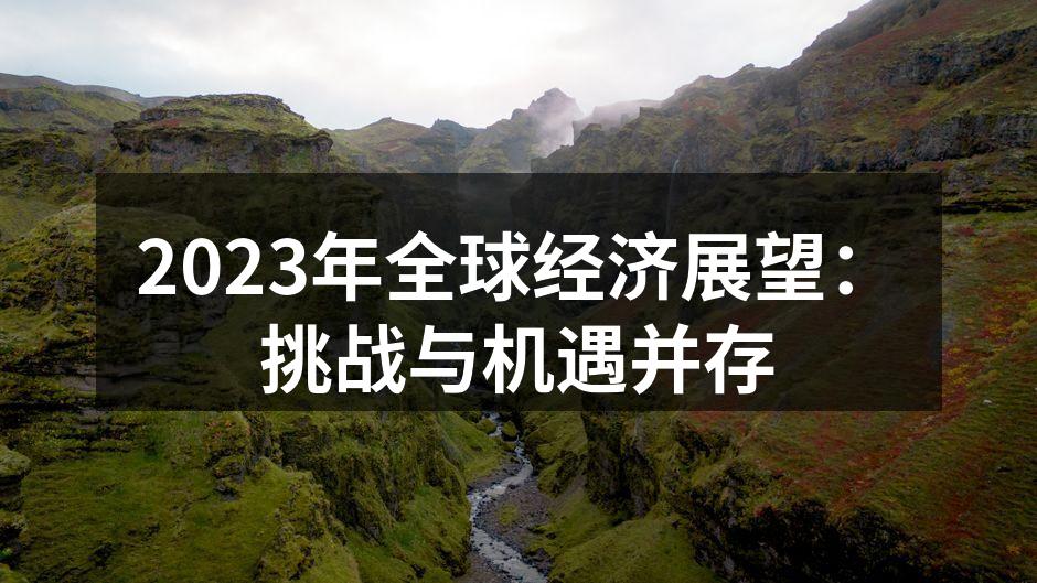 2023年全球经济分析图表