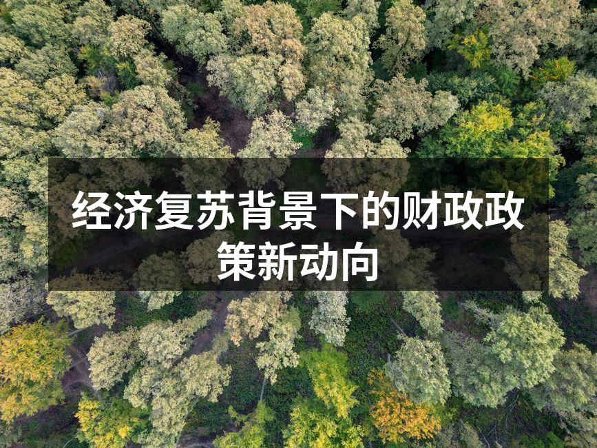 财政政策调整的动向