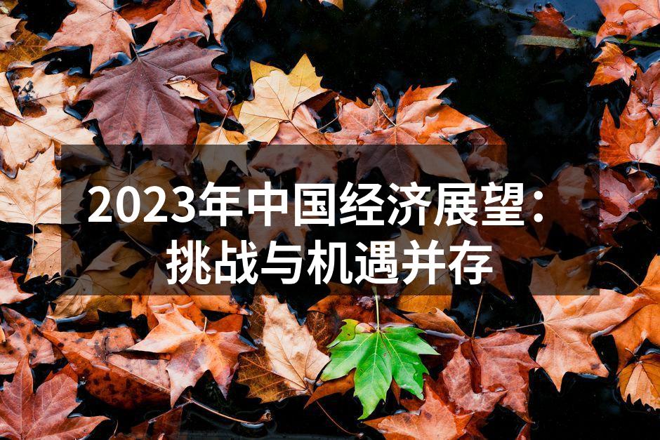 2023年中国经济展望：挑战与机遇并存