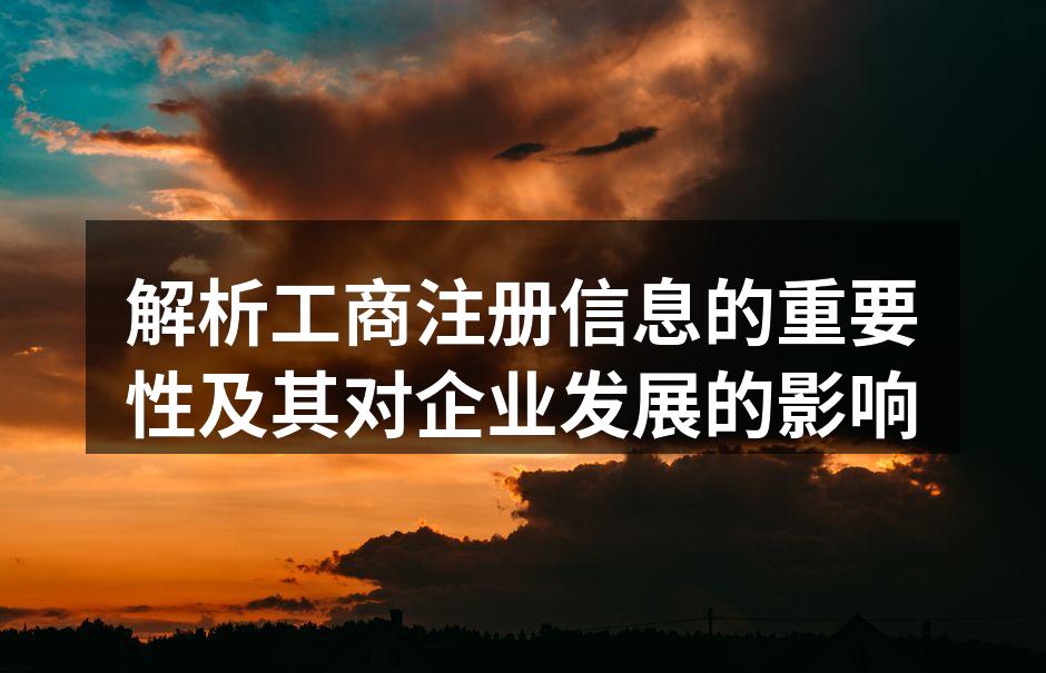 工商注册信息示例