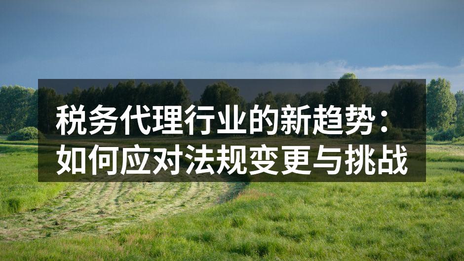 税务代理行业的新挑战