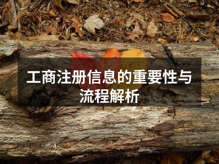 工商注册流程示意图