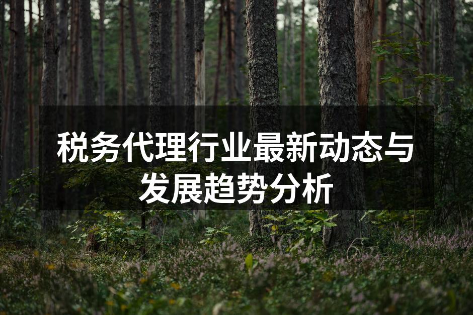 税务代理行业最新动态与发展趋势分析
