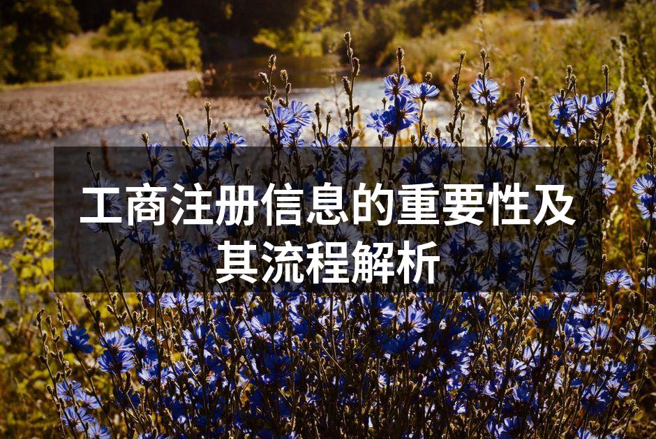 工商注册流程示意图
