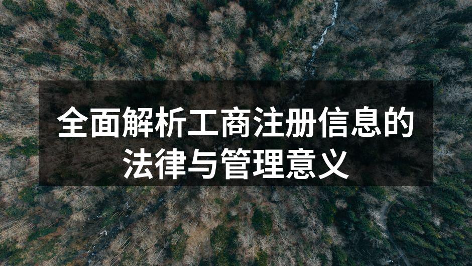 全面解析工商注册信息的法律与管理意义